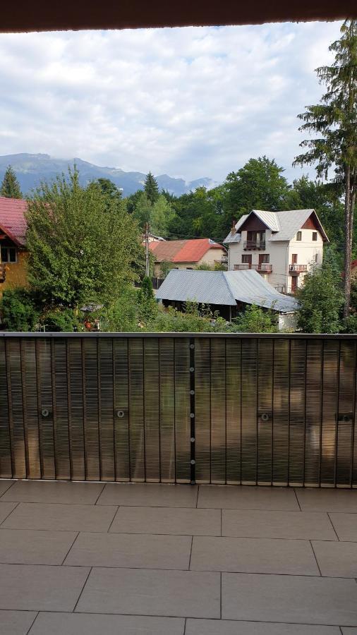 Criss Apartament Синая Экстерьер фото